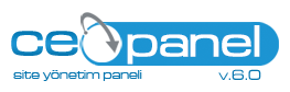 web tasarım izmir